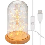 Goobay Glass Bell with Micro LED Light Chain