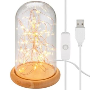 Goobay Glass Bell with Micro LED Light Chain