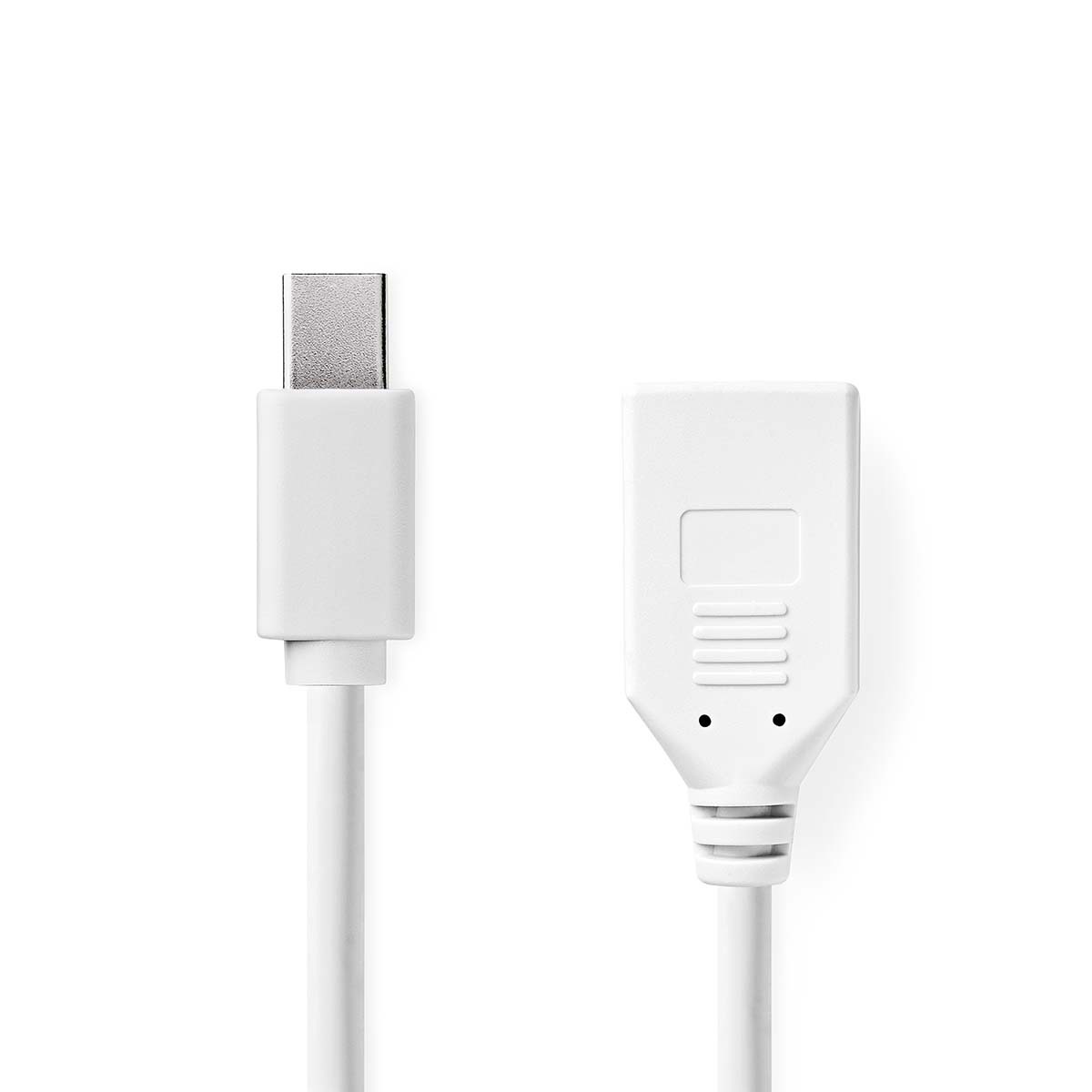 Nedis Mini DisplayPort naar DisplayPort adapter | 4K 60Hz | 0,20 meter