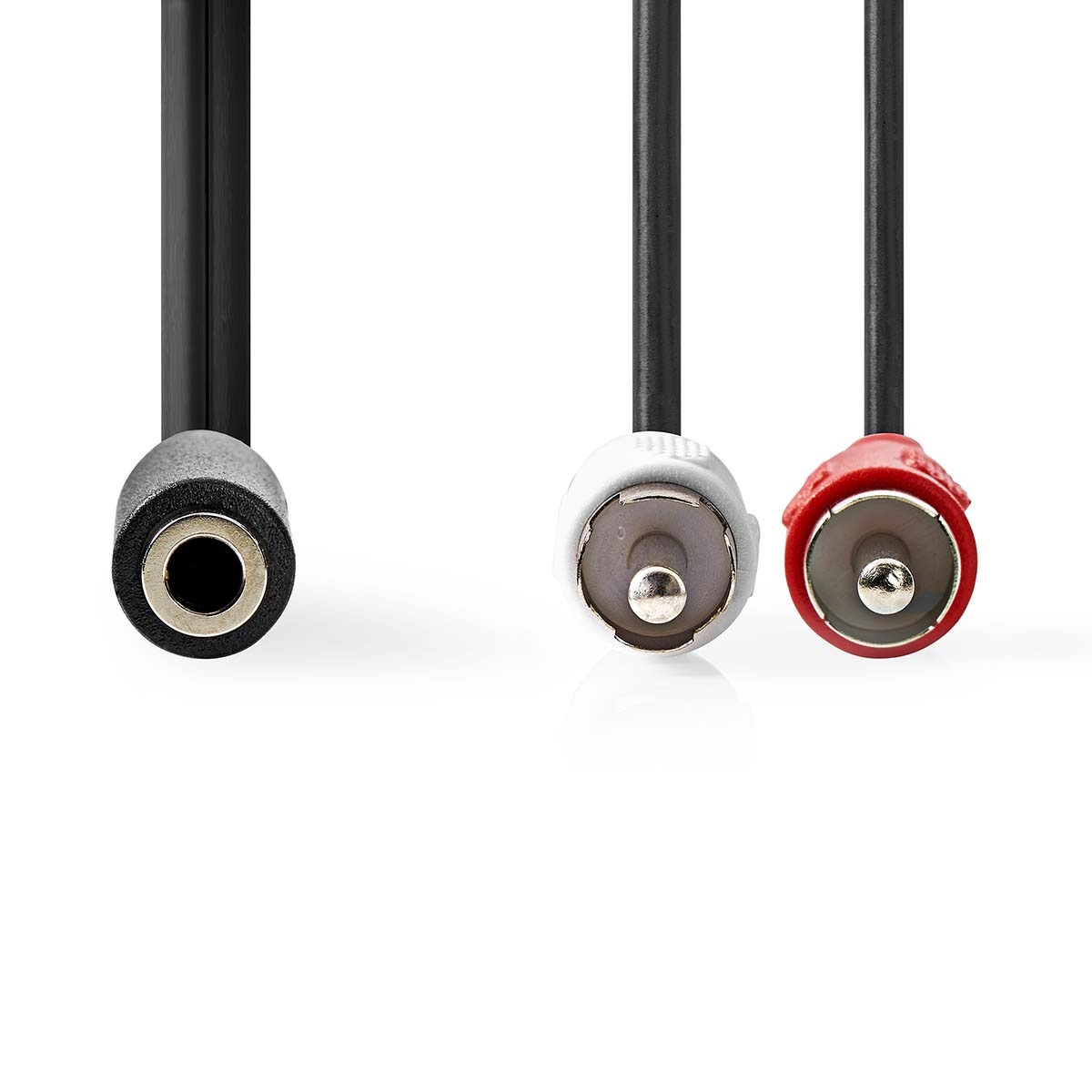Nedis Tulp (m) - 3,5mm Jack (v) adapter kabel | CCS | 0,20 meter - Afbeelding 2